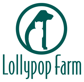 Donation | Lollypop Farm, Humane Society of Greater Rochester